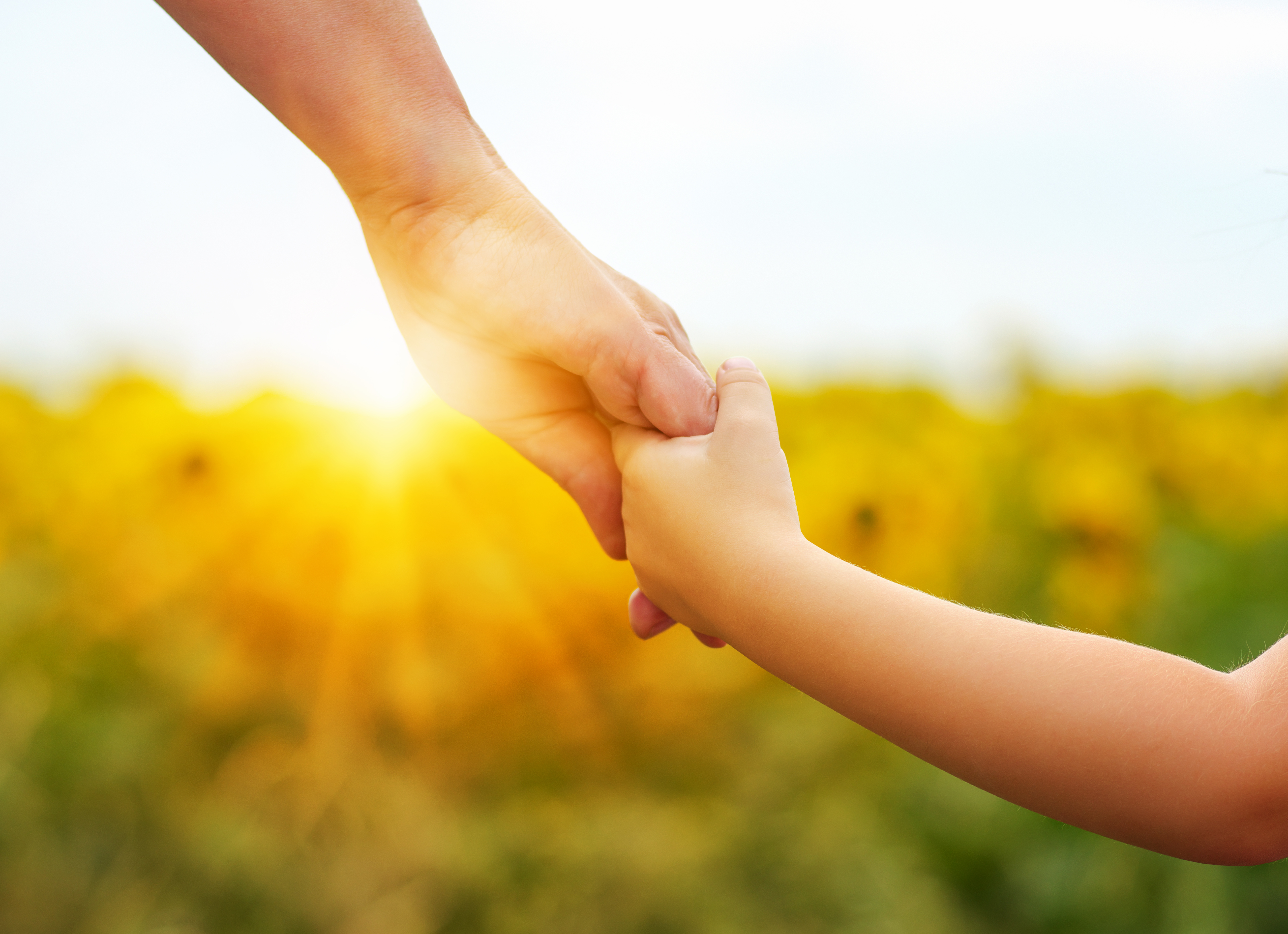 Hands of mother and daughter holding each other on field